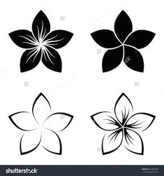 image result for frangipani line drawing hawaiiantattoos