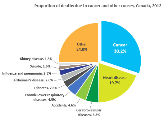 trends in cancer rates
