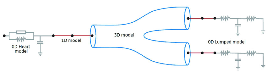 10 coupling of 0d heart model with 1d model systemic circulation