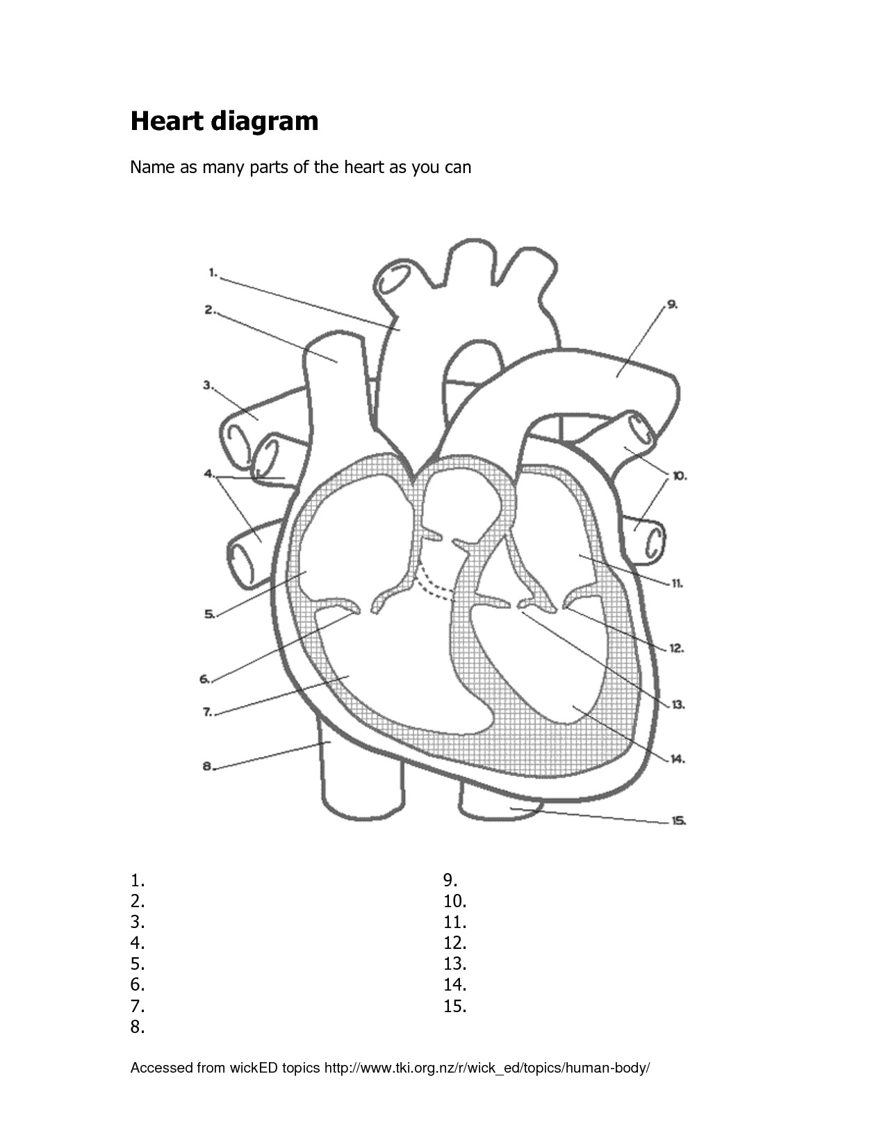 heart diagram related keywords suggestions heart diagram long