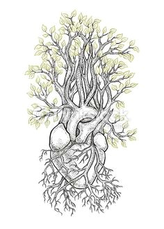vector art human heart from which grows a tree human heart tattoo tree heart
