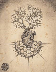 daniel martin diaz soul of science sacred geometry heart anatomical