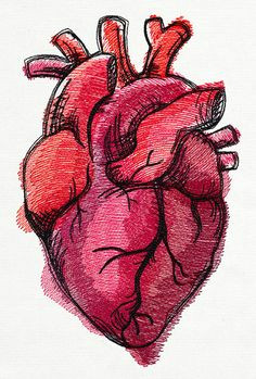 painted anatomical heart urban threads unique and awesome embroidery designs anatomical heart drawing