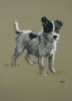items similar to beautiful jack russell terrier dog le fine art print mr alert from an original chalk and charcoal sketch on etsy