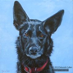 macchiato kelpie dog painting paintmypet pet portraits perth