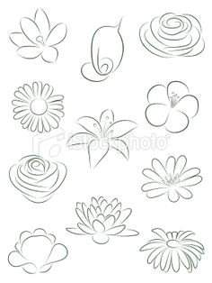 set of flowers vector illustration