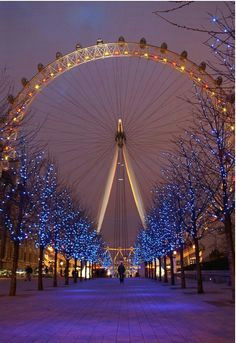 ok you just can t come to london and not ride the london eye