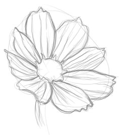 Drawing Of Magical Flower 361 Best Drawing Flowers Images Drawings Drawing Techniques