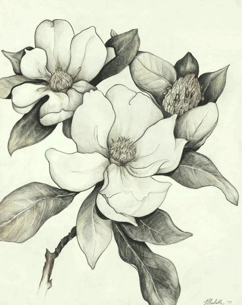 louisiana tattoo dogwood flower tattoos forearm flower tattoo dogwood flowers sweet magnolia