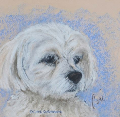 Drawing Of Maltese Dog Maltese Dog Art by Cori solomon Painting by Artist Art Helping