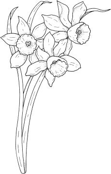 flowers coloring pages select from 30833 printable coloring pages of cartoons animals nature bible and many more