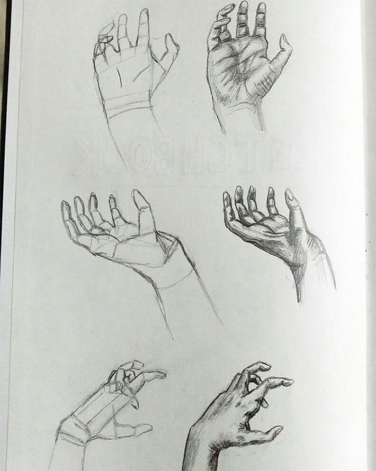 more hand anatomy sketches