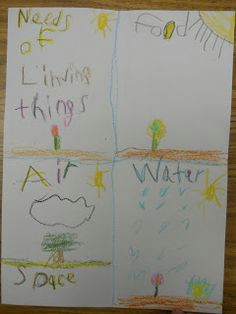 mrs t s first grade class science needs of living things 1st grade science