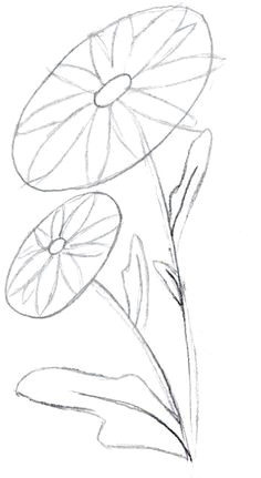 how to draw a flower