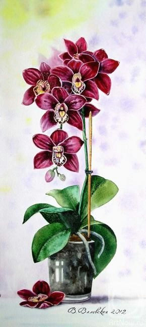 orchids painting silk painting botanical drawings botanical art