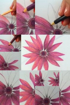 drawing flowers