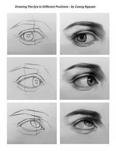 eye art drawing an eye human face drawing human anatomy drawing eye
