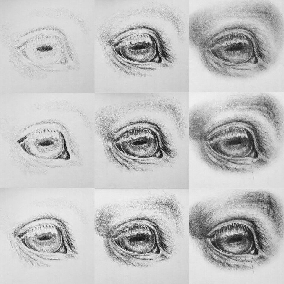 tutorial how to draw a realistic horse eye with pencil www ars rava de