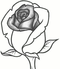 how to draw a rose bud rose bud step by step flowers