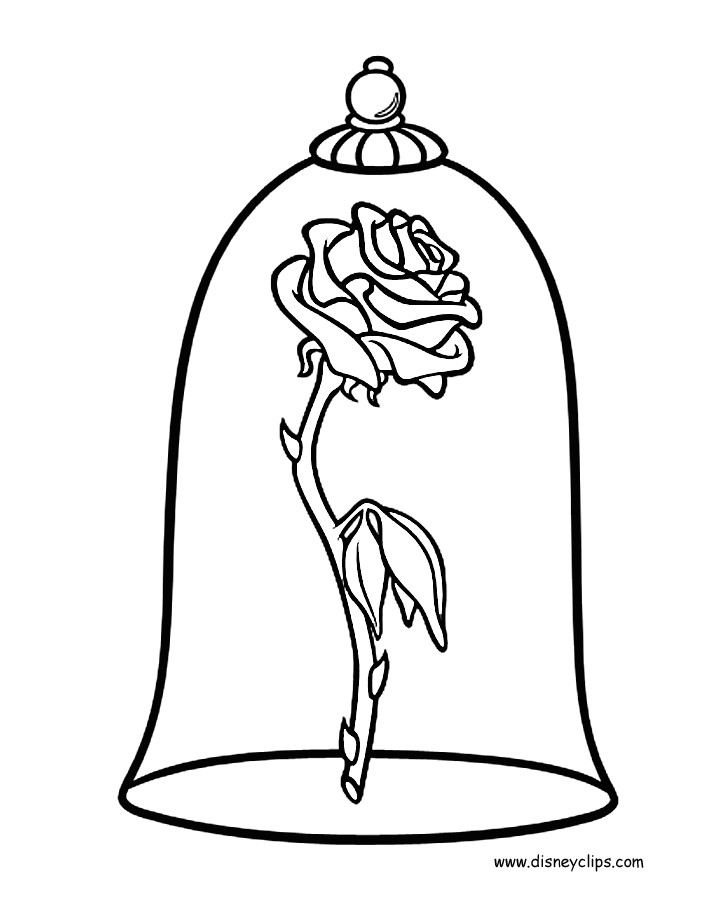 disney rose coloring gif 720a 920 beauty and the beast drawing beauty and