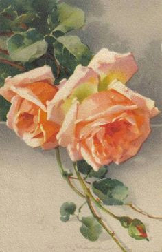 what beautiful colors used in this grouping of roses by ms klein