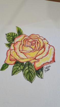 drawing flowers watercolor flowers watercolor art orange yellow art sketchbook flower