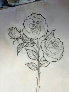 Drawing Of Rose Student 29 Best Rose Drawings Images 3 Roses Tattoo Rose Drawings Tattoo
