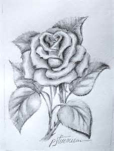 simple pencil drawings of roses bing images rose sketch rose drawing pencil flower