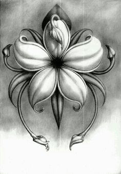 pencil drawing of flower pencil drawings of flowers flower sketch pencil cool drawings