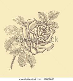 stock vector hand drawing rose card vector version eps 10 raster version