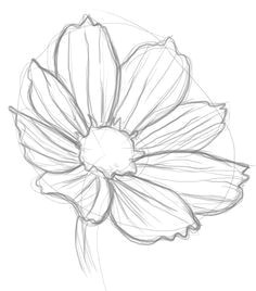how to draw flowers drawing easy flower drawings flower sketches simple flower drawing