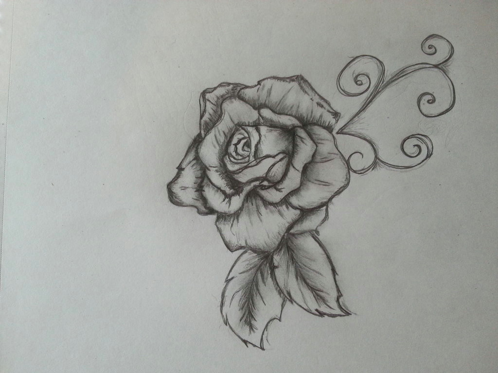 rose drawing