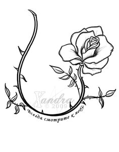 rose vine tattoos designs the rose vine tattoo flash by xandra