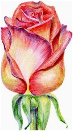 create colored pencil still life drawings landscapes portraits and more learn how with