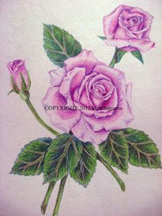 pencil drawings of flowers and butterflies with colours google search pencil drawings of flowers