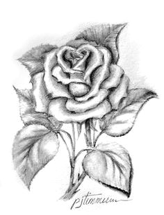 single rose pencil drawing rose sketch rose drawing pencil flower pencil drawings