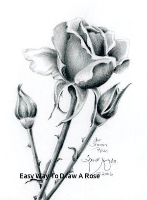 easy way to draw a rose 2860 best pencil sketch images on pinterest of easy way