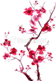 japanese cherry blossom wall art decals japanese cherry blossom tree painting cherry blossom drawing
