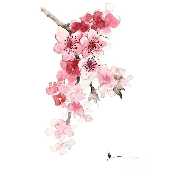 cherry branch home decor cherry tree pink newborn girl nursery wall painting watercolor cherry blossom shabby chic nature giclee art print