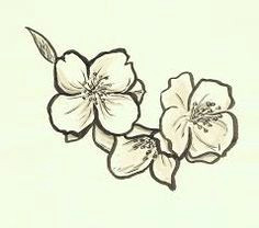 bildergebnis fur sampaguita national flower of the phillipines get on ribcage side jasmine flower