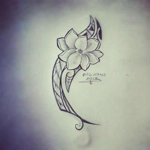 sampaguita flower drawing google search filipinotattoosancient