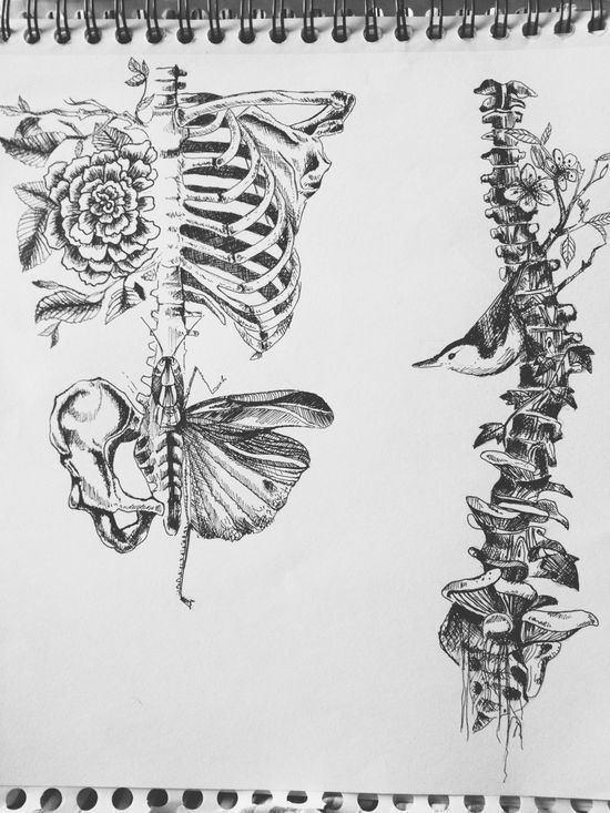 santa muerte gcse art tattoo spine bug tattoo tattoo art skeleton