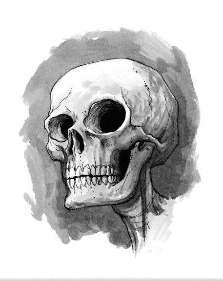 cute skull illustration