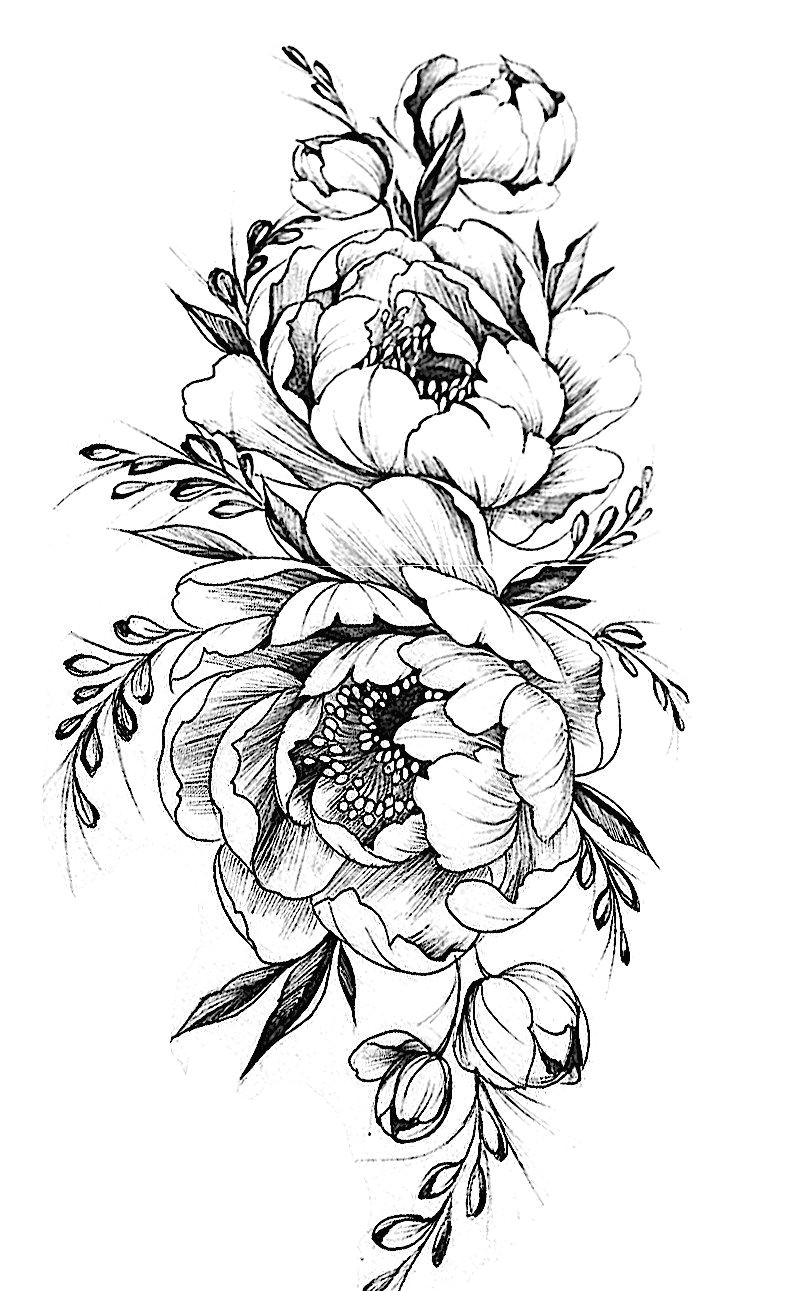 tattoovorlage peony drawing chrysanthemum drawing flower design drawing flower drawings drawing flowers