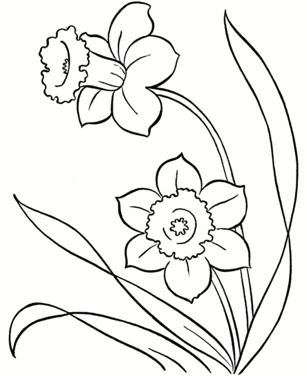 line drawings of snowdrops google search