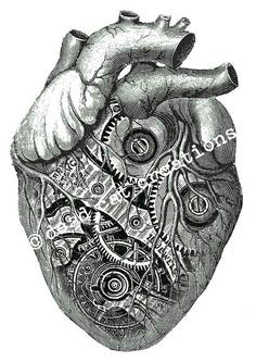 heart painting anatomical heart human heart mark tattoo heart art croquis