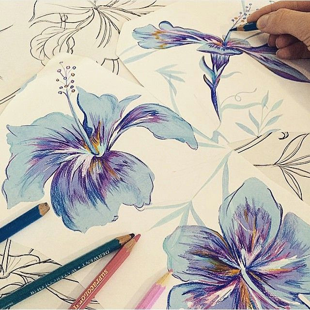 drawing hibiscus flowers for our atlas print for summer prints escape sketching hibiscus flowers for the matthew williamson escape collection