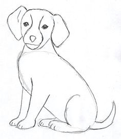 dog drawing 4 now go back and erase any extra lines you see