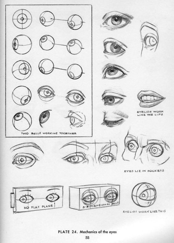 character design collection eyes anatomy