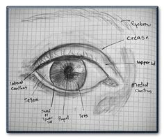 303 best drawing eyes images drawing faces drawing techniques pencil drawings